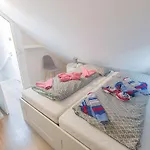 Perlmuschel, Vermittlung Nordsee Semesterbostad Dangast