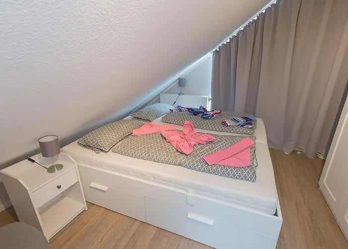 Perlmuschel, Vermittlung Nordsee